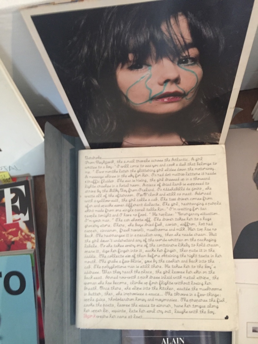 « La garde-robe », Björk