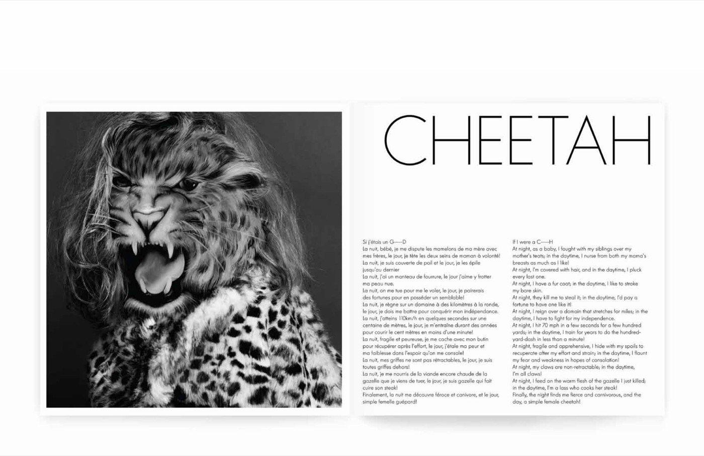 « CHEETAH », Le guépard (texte-portrait d'animal)