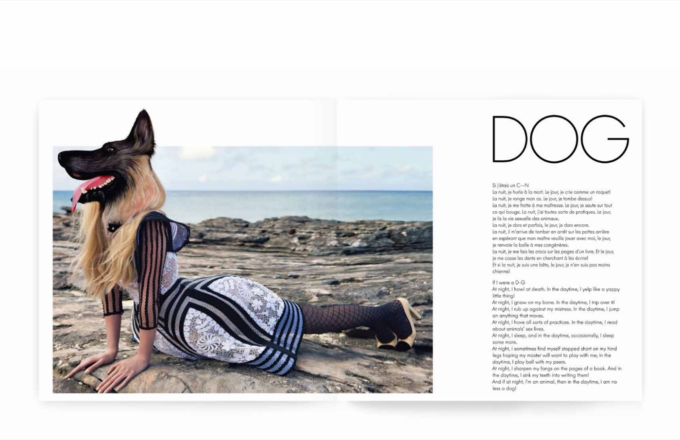 « DOG », Le chien (texte-portrait d'animal)