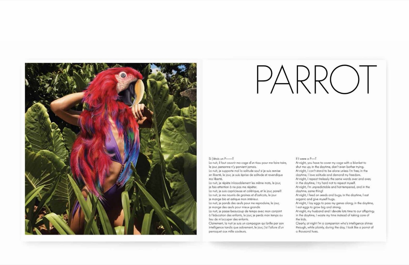 « PARROT », Le perroquet (texte-portrait d'animal)